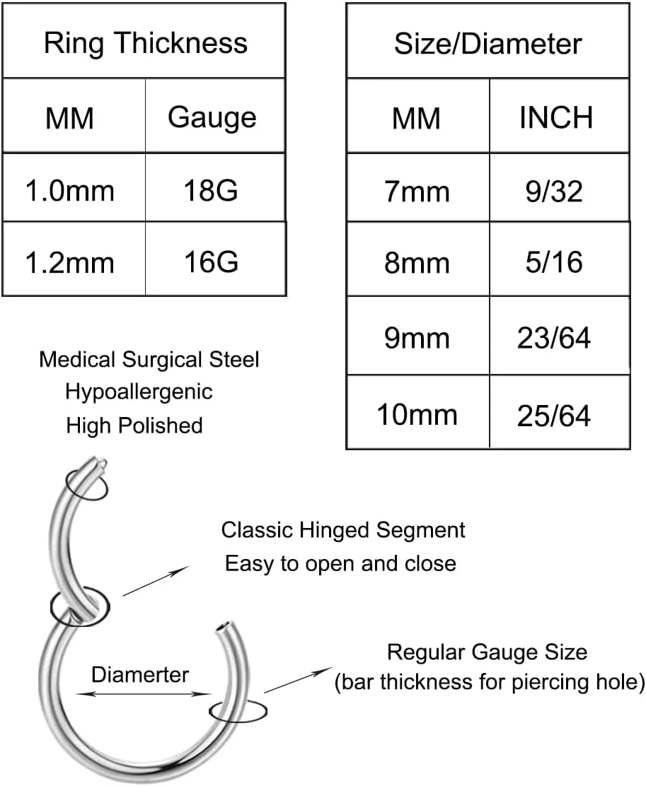 24Pcs 16G 18G 316L Stainless Steel Cartilage Hoop Earrings for Men Women Helix Tragus Daith Lobe Hoop Sleeper Earrings Hinged Clicker Segment Nose Hoop Septum Lip Ring Conch 7/8/9/10MM