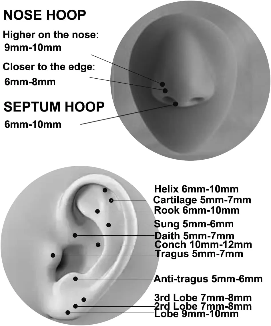 24Pcs 16G 18G 316L Stainless Steel Cartilage Hoop Earrings for Men Women Helix Tragus Daith Lobe Hoop Sleeper Earrings Hinged Clicker Segment Nose Hoop Septum Lip Ring Conch 7/8/9/10MM