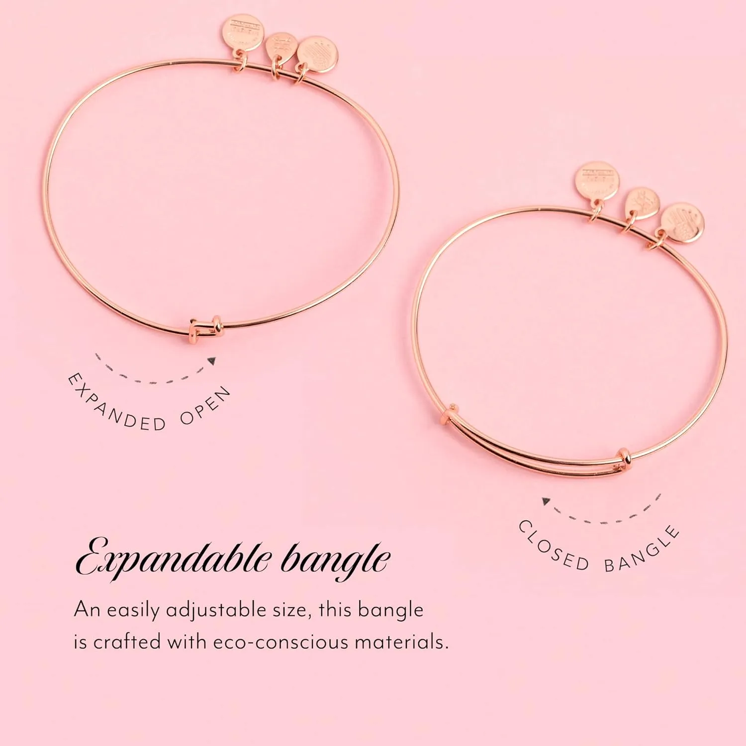 Alex and Ani Sister Bracelets