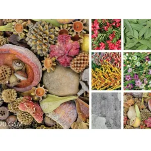 Australian Plant Craft Paper Pack of 40