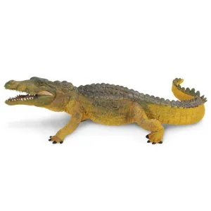 Crocodile Wildlife Safari Ltd