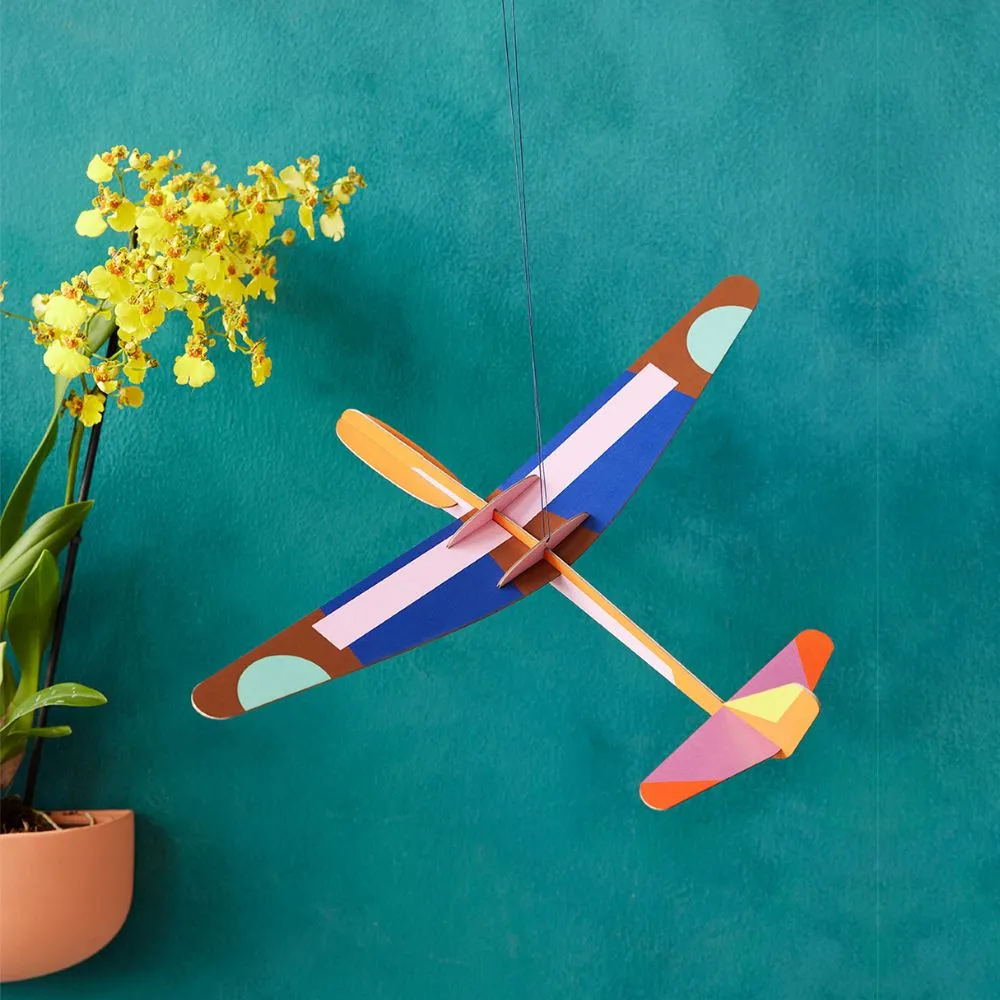 DIY 3D Wall Decoration- Robin Plane