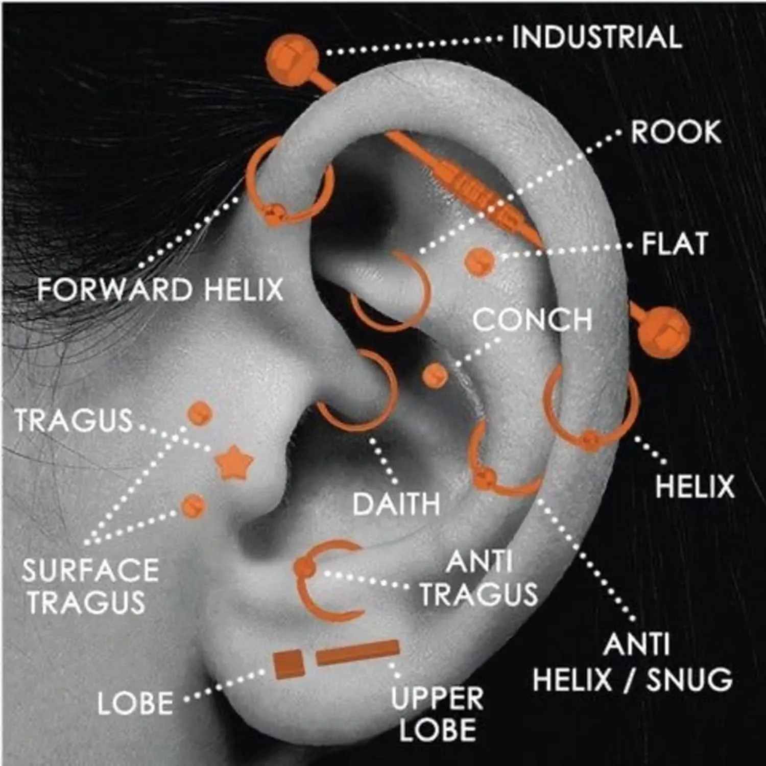 Gold Heart-Shaped Industrial Piercing  Daith, Scaffold, Cartilage Body Jewelry