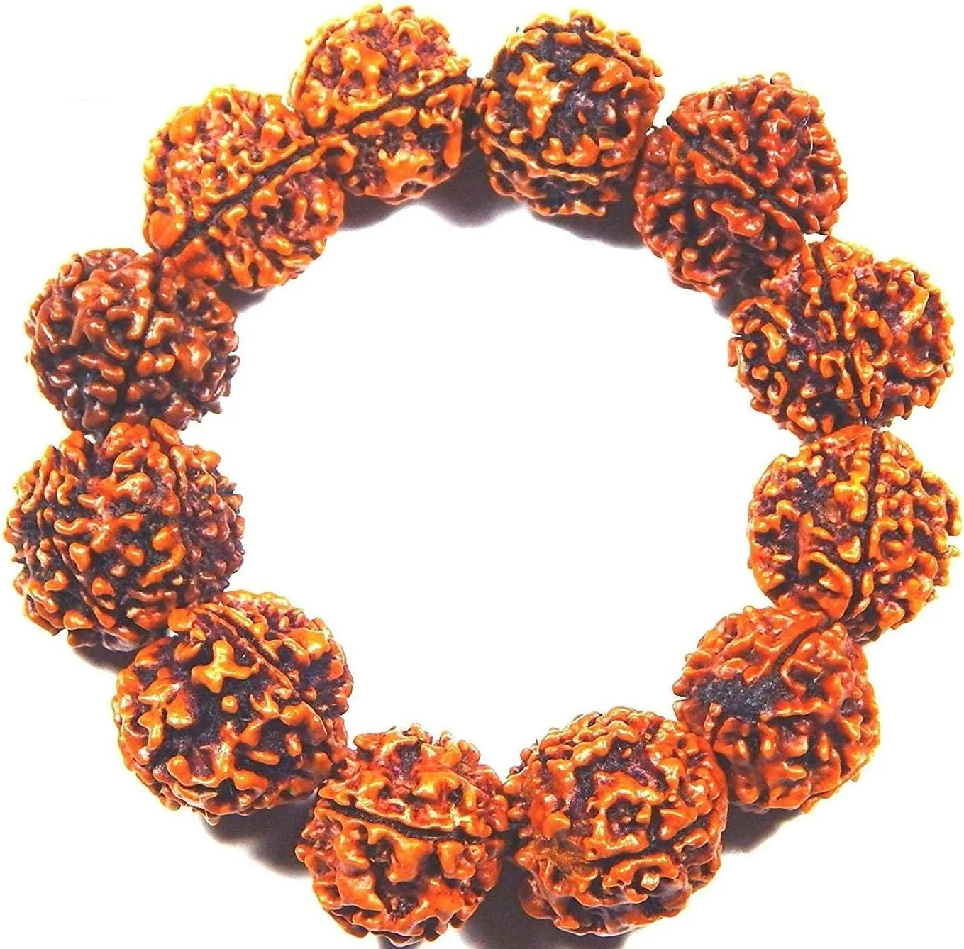 Huge Tibetan 12 18mm Rudraksha Bodhi Meditation Prayer Beads Mala Bracelet