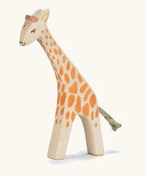 Ostheimer Small Giraffe, Head Low