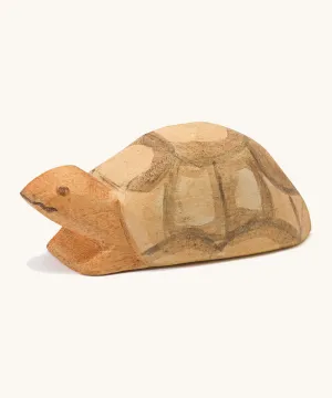 Ostheimer Small Turtle